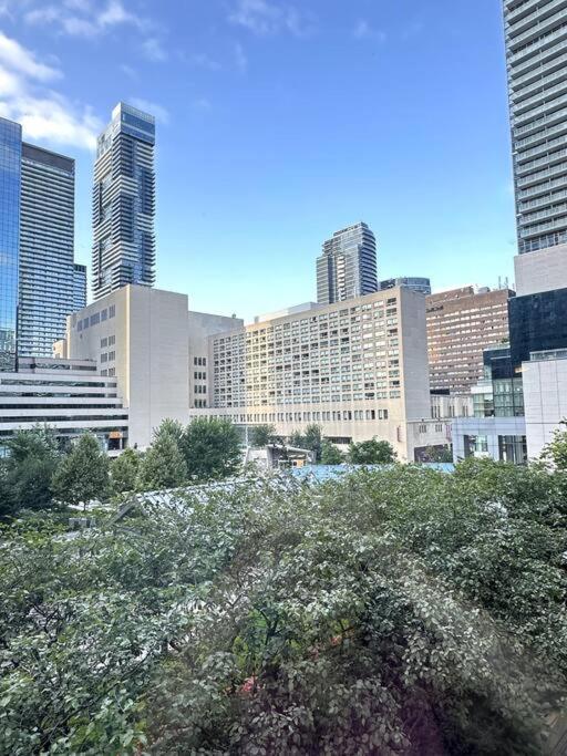 Best Location In Downtown- Walking To Eaton Centre, Nathan Phillips Square, Yonge-Dundas, Ikea,Transit Toronto Exterior photo